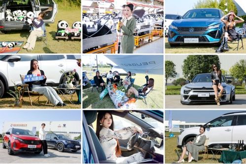 真誠，才是汽車消費的“必殺技”——從神龍汽車雙十一活動談起